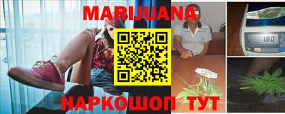 PSILOCYBIN Кинель