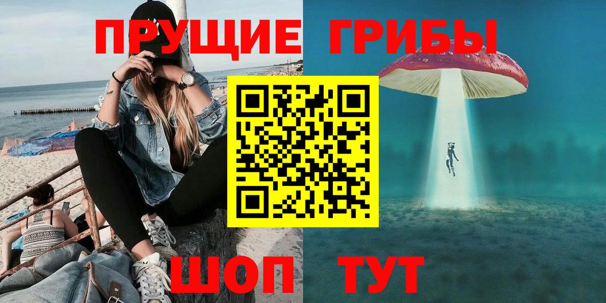 Котлас  Псилоцибиновые грибы Psilocybine cubensis  Вход с VPN 
