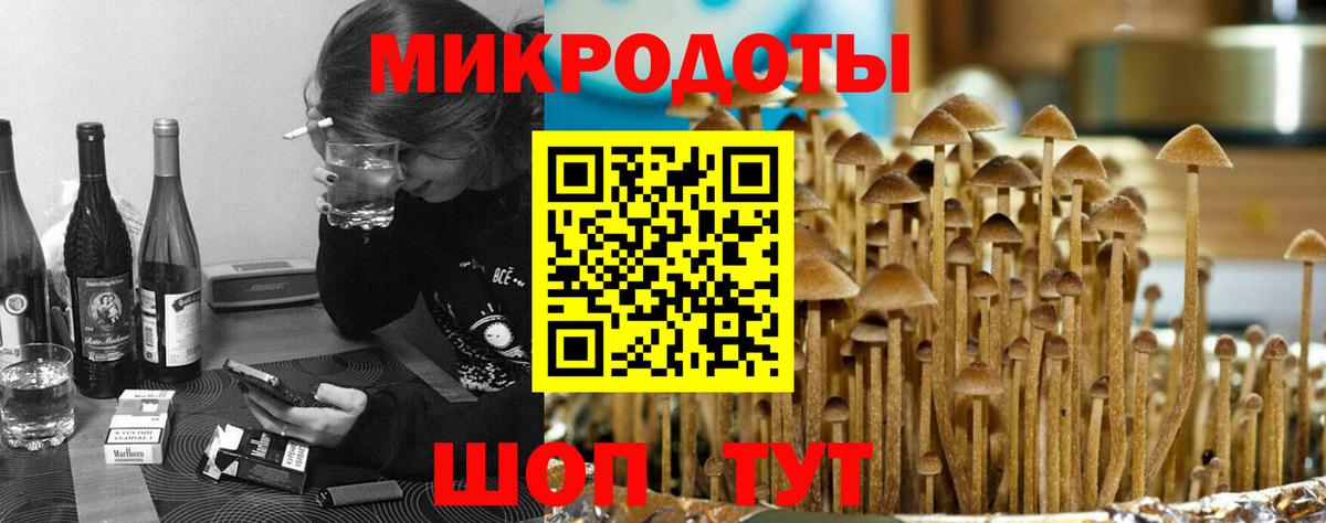 Галлюциногенные грибы Psilocybine cubensis Котлас