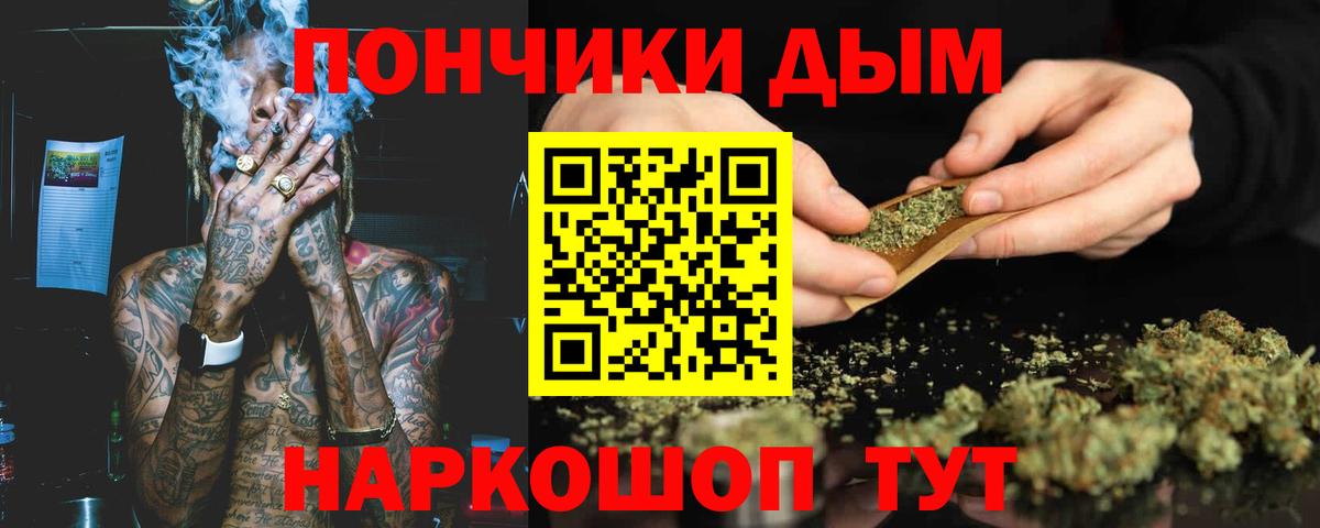Бошки Шишки марихуана Котлас